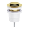 донный клапан Omnires click-clack brushed brass (A47BSB)